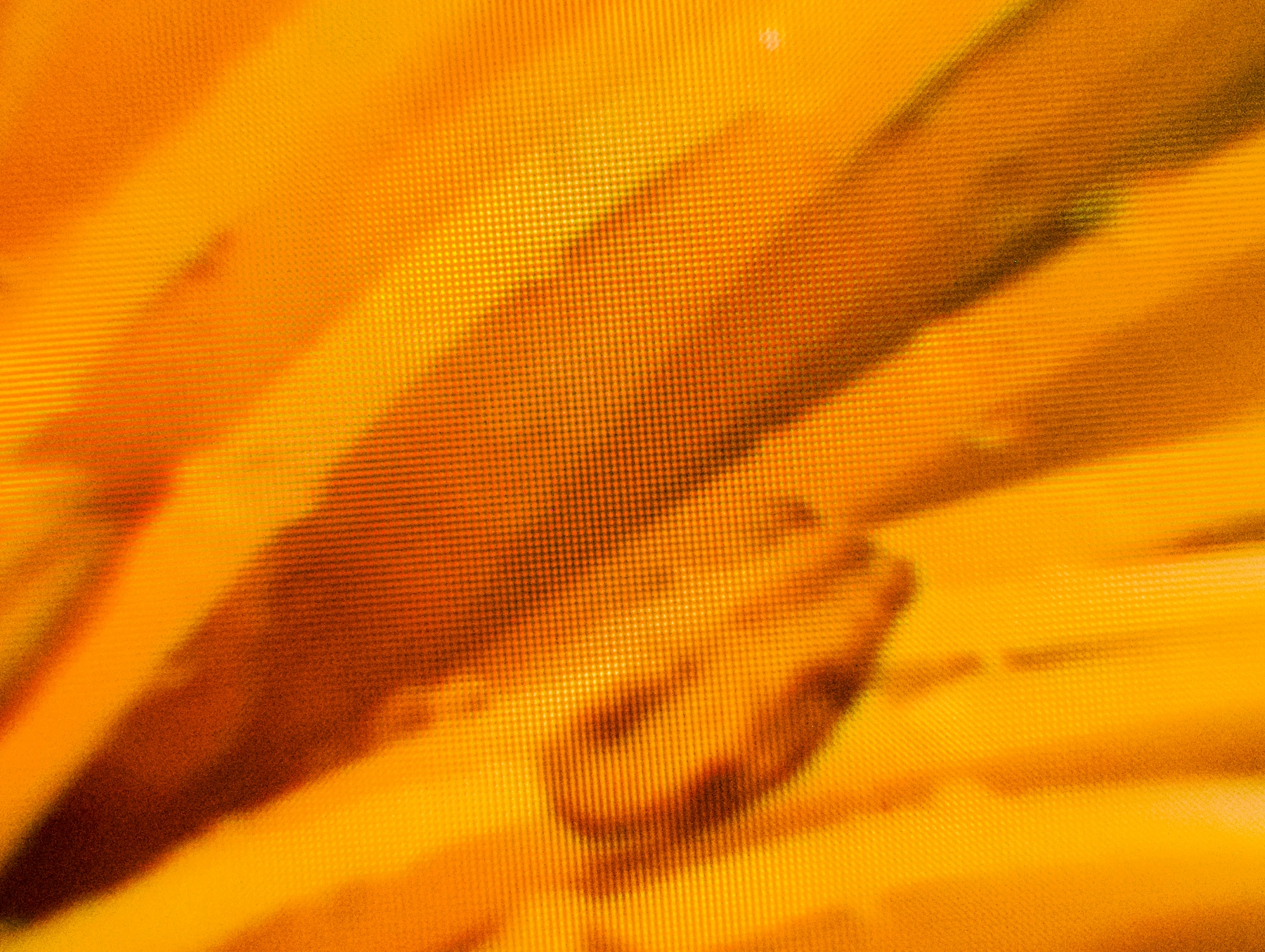 Macro photo of individual pixels rendering the flower scene at 90Hz